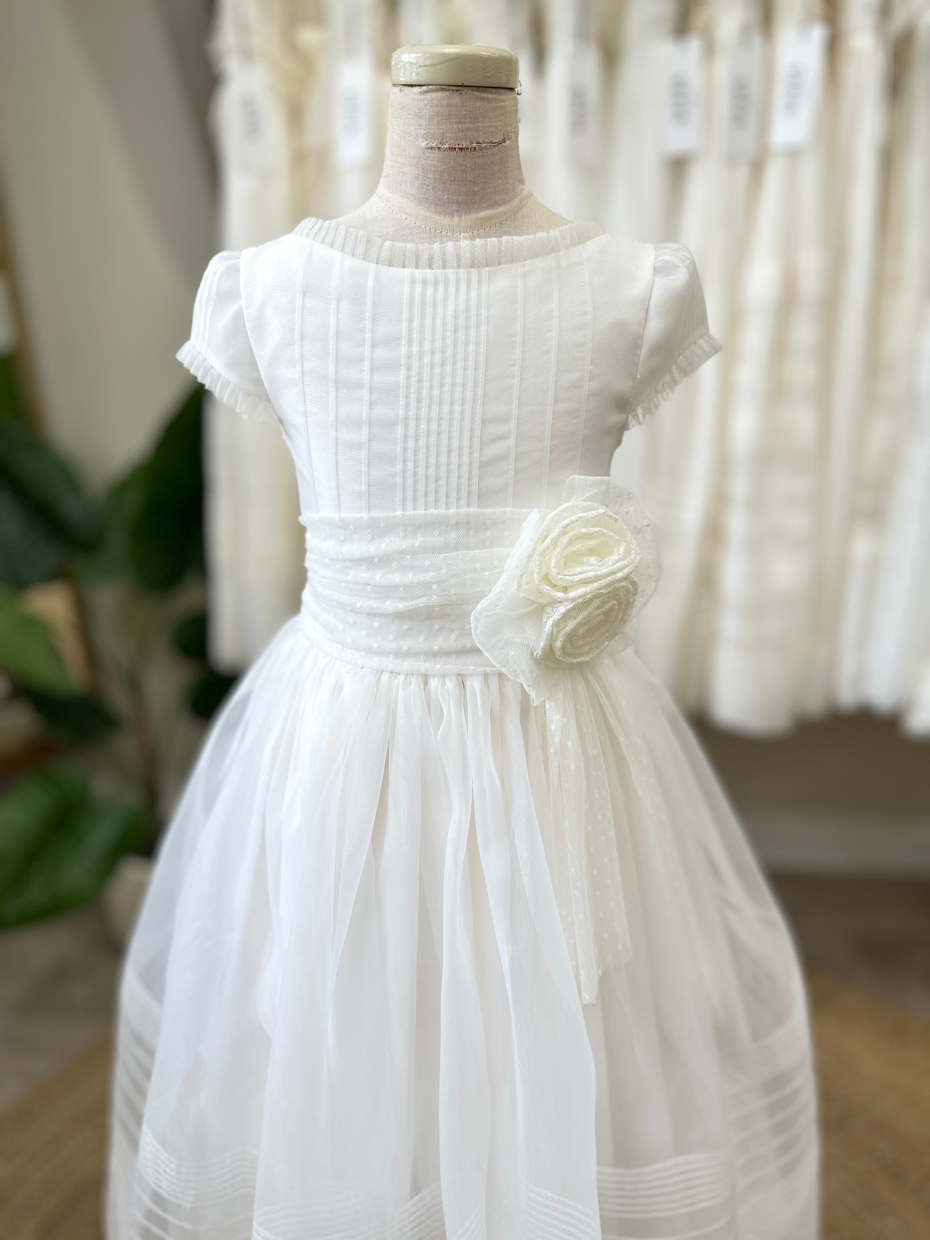 Traditional -  R119