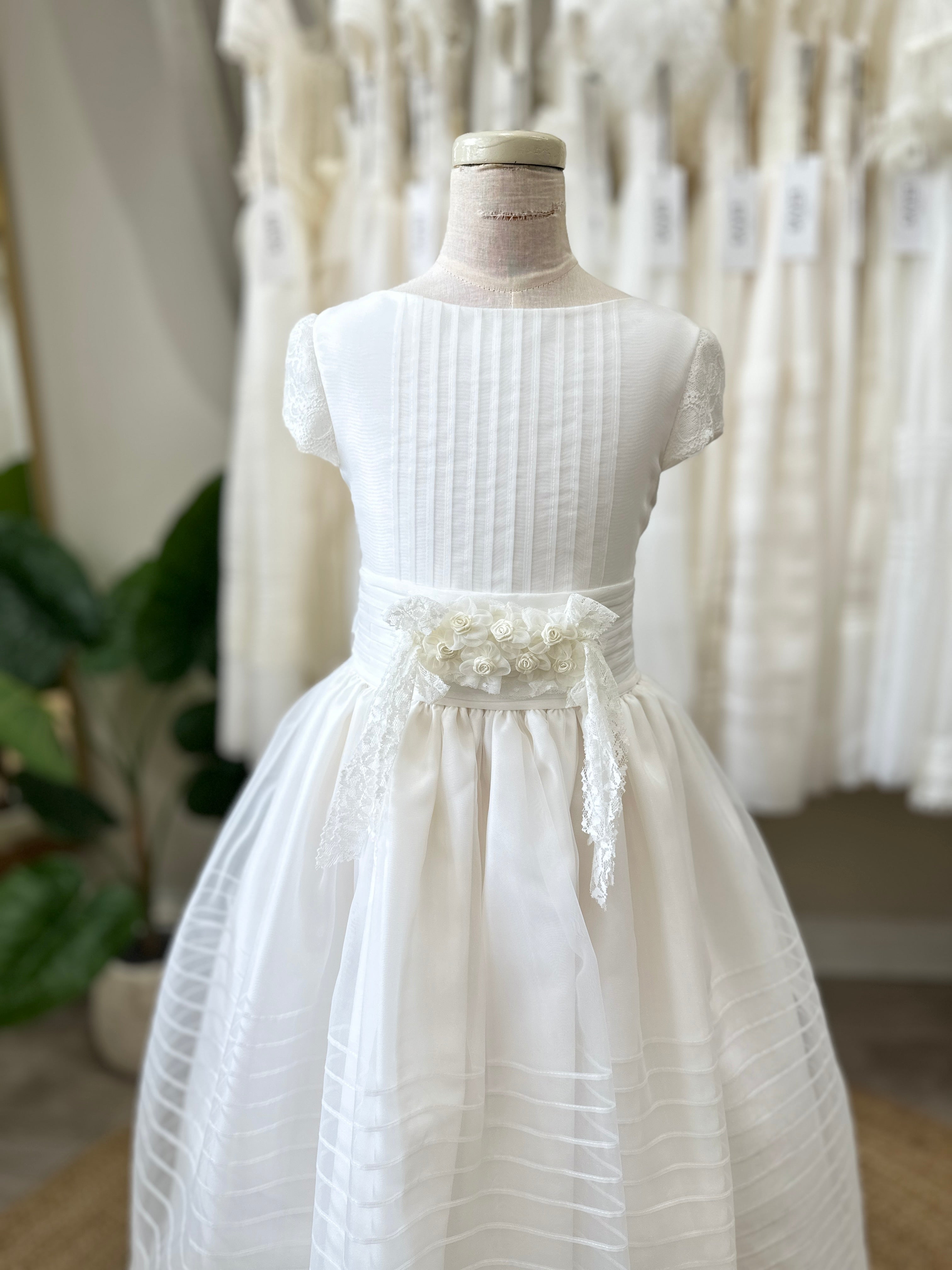 Traditional - R120