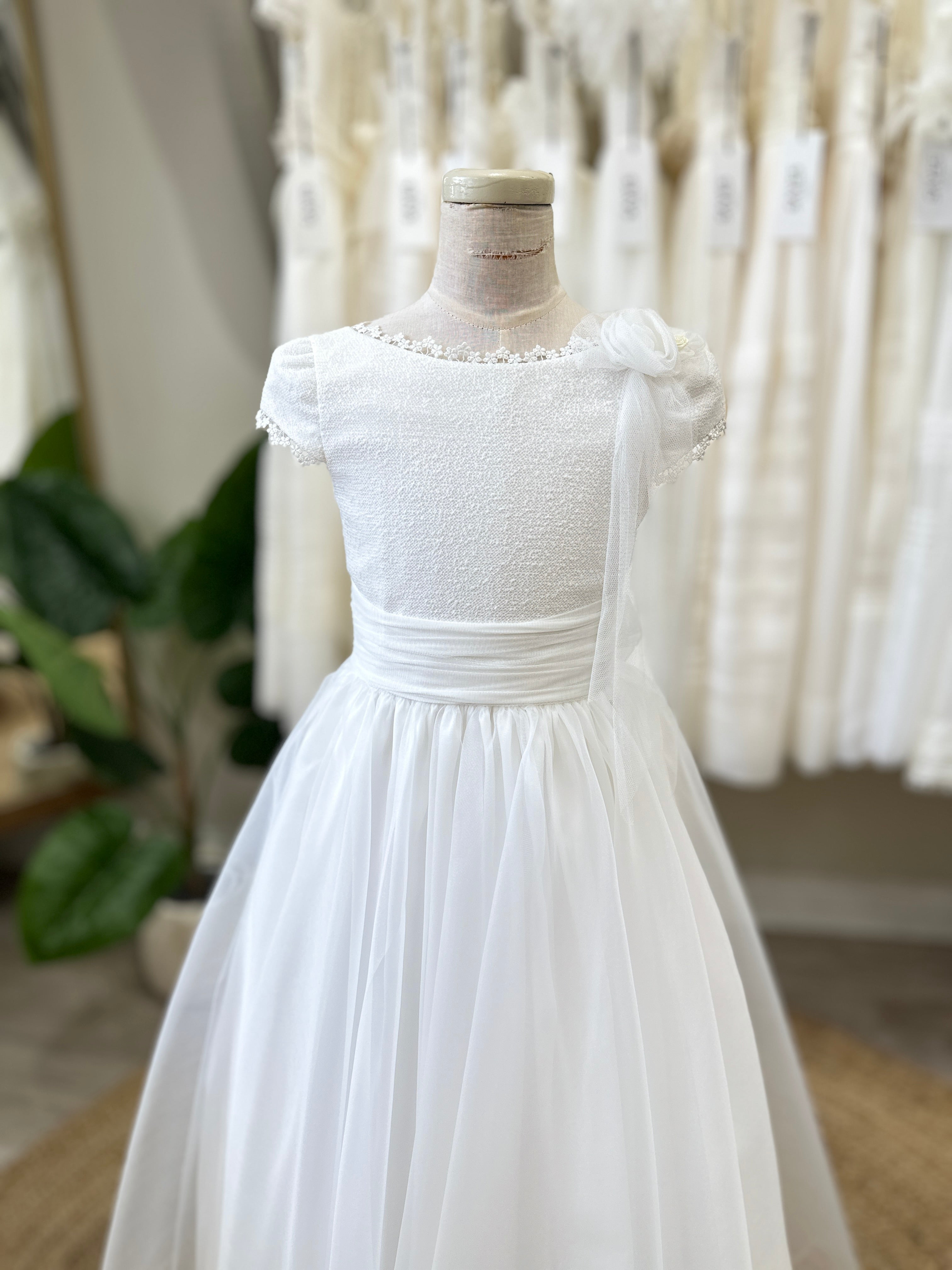 Traditional - T233